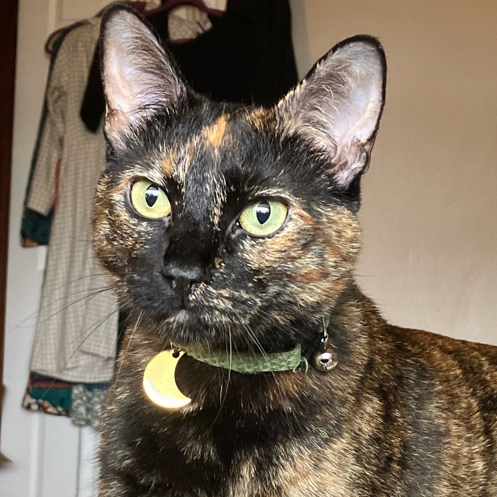 Meet your Posher, Renee